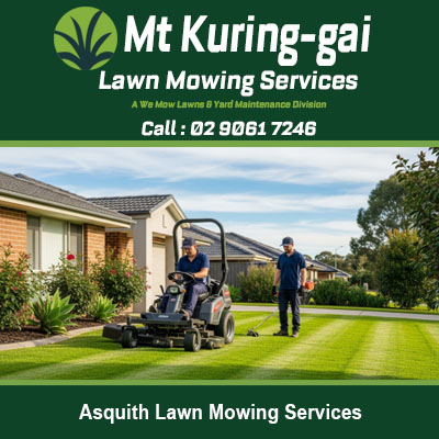 Professional lawn mowing team with ride on mower servicing property in Asquith