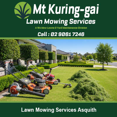Professional mowing tools with grass clippings at residential property in Asquith Northern Sydney