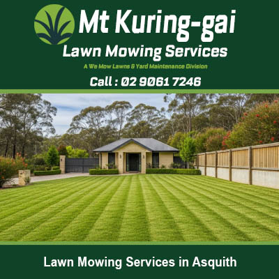 Expert lawn mowing creating neat striped pattern on front yard in Asquith New South Wales