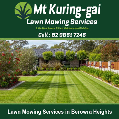 Professionally striped lawn with perfect mowing lines in Berowra Heights NSW