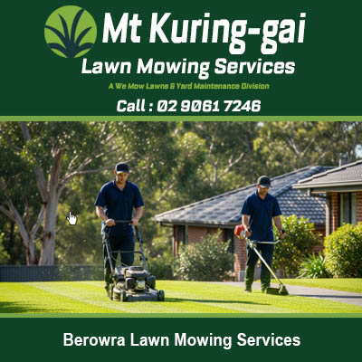 Professional lawn mowing team working on residential property in Berowra