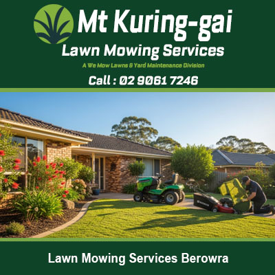 Expert gardener maintaining pristine lawn at property in Berowra Northern Sydney