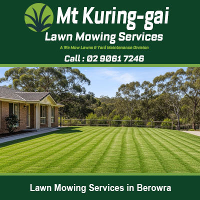 Expert lawn mowing showing neat striping on large yard in Berowra New South Wales