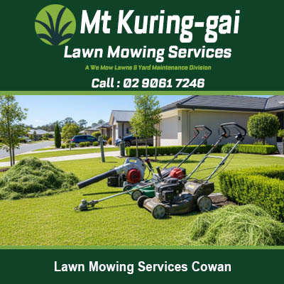 Freshly cut grass clippings and gardening tools after lawn mowing service in Cowan NSW