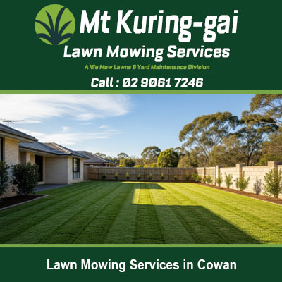 Beautifully manicured grass showing quality lawn stripes in Cowan Sydney