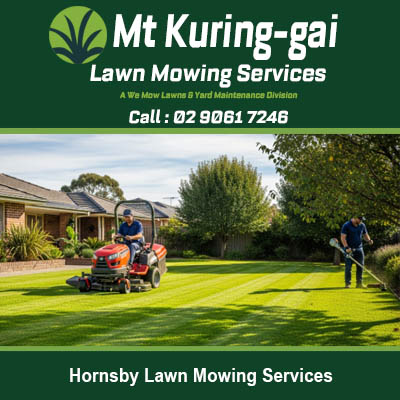 Expert gardeners providing lawn care and maintenance at residential home in Hornsby Sydney