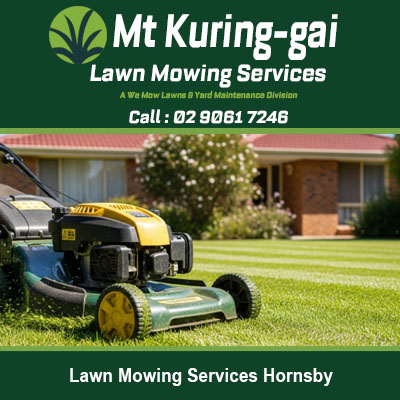 Lawn mower on freshly cut grass at residential property in Hornsby NSW