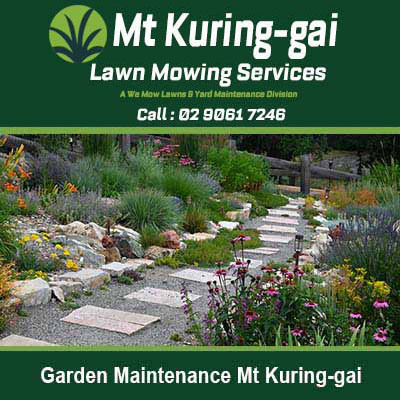 Stone pathway winding through landscaped in Mt Kuring-gai