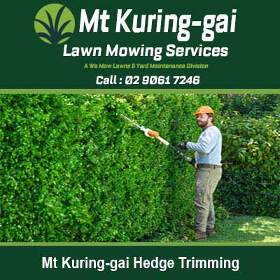 Worker using long-reach hedge trimmer in Mt Kuring-gai