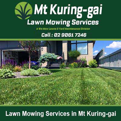 Neatly mowed residential front lawn in Mt Kuring-gai