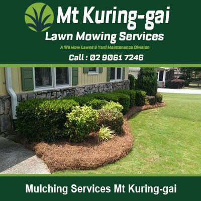 Curved garden bed with fresh mulch in Mt Kuring-Gai