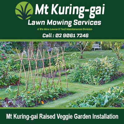 Wooden raised garden beds with trellis in Mt Kuring-gai