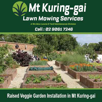 Multiple brick-edged raised garden beds in Mt Kuring-gai