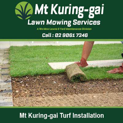 Person's hands rolling out fresh turf in Mt Kuring-Gai