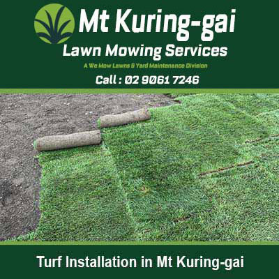Natural turf rolls on prepared soil ready in Mt Kuring-Gai