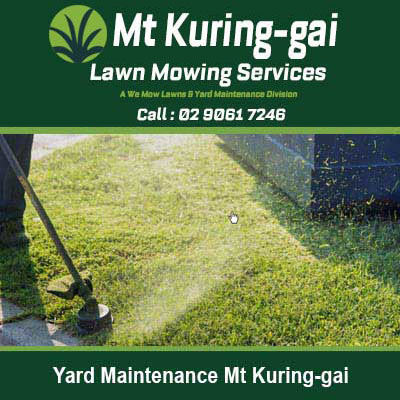 Gardener using grass cutter machine in Mt Kuring-gai