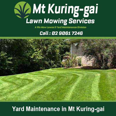 Mowed lawn with striped mowing pattern in Mt Kuring-gai