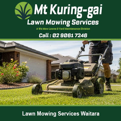 Professional lawn mowing in progress with commercial mower at property in Waitara