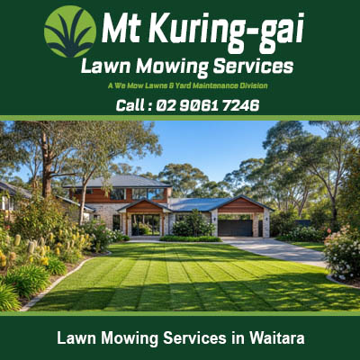 Expert lawn mowing creating neat striped pattern on front yard in Waitara New South Wales